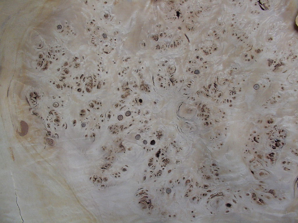 czeczot, meble z czeczotu