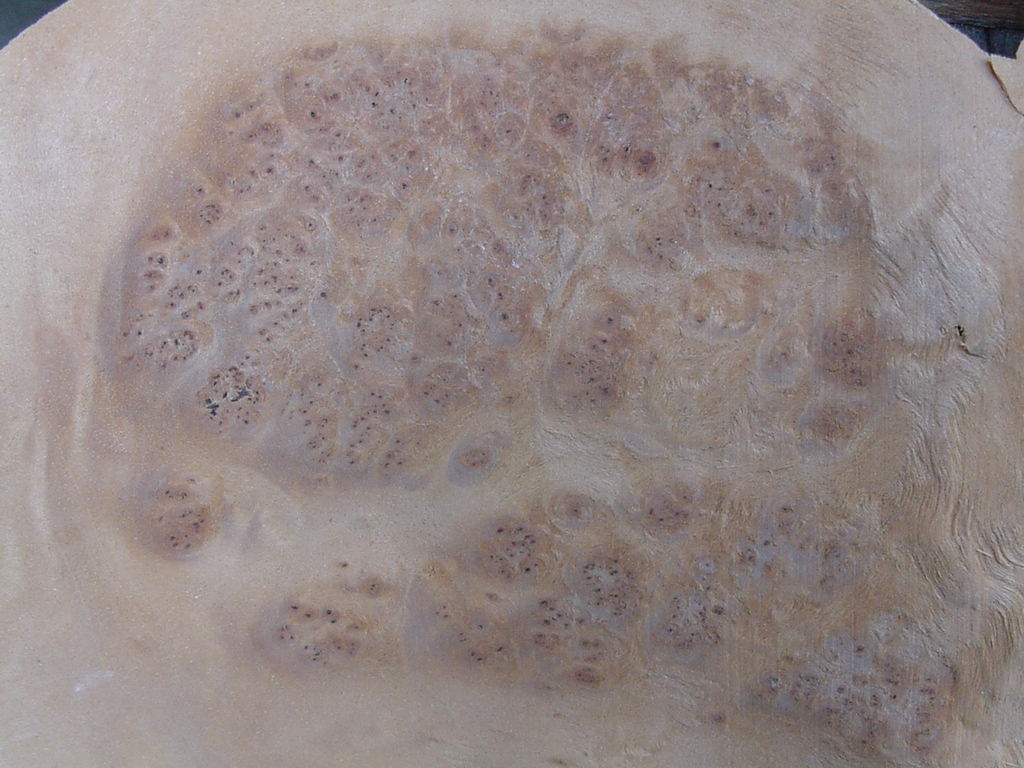 Czeczot na meble stylowe