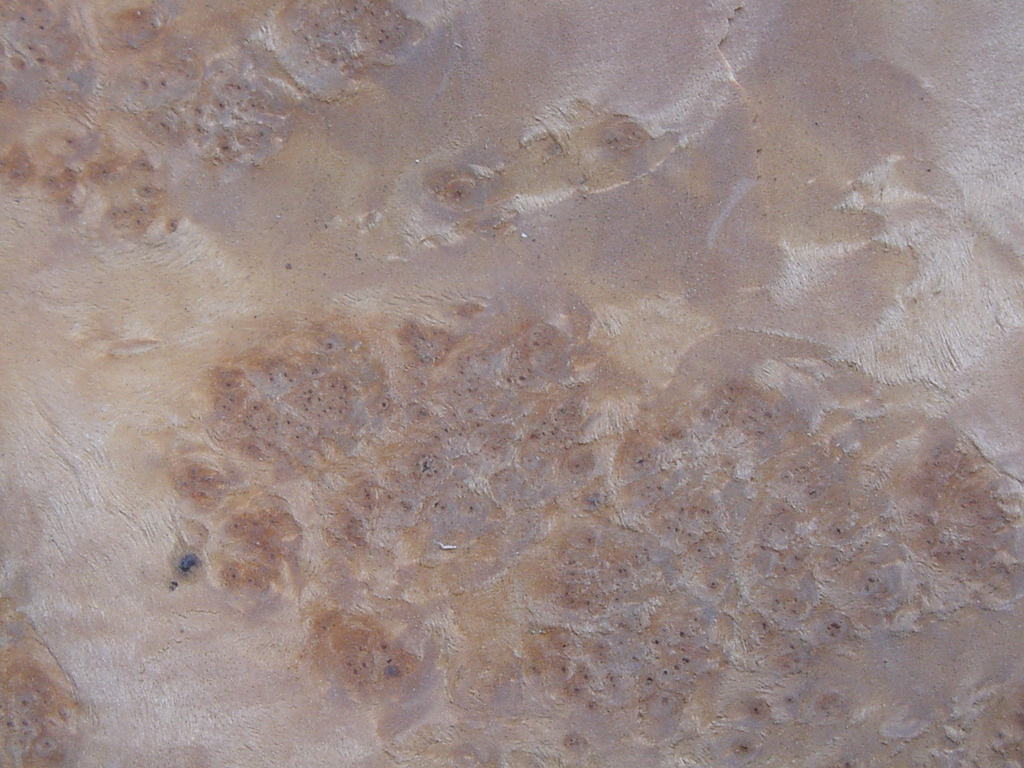 Meble stylowe fornirowane czeczotem