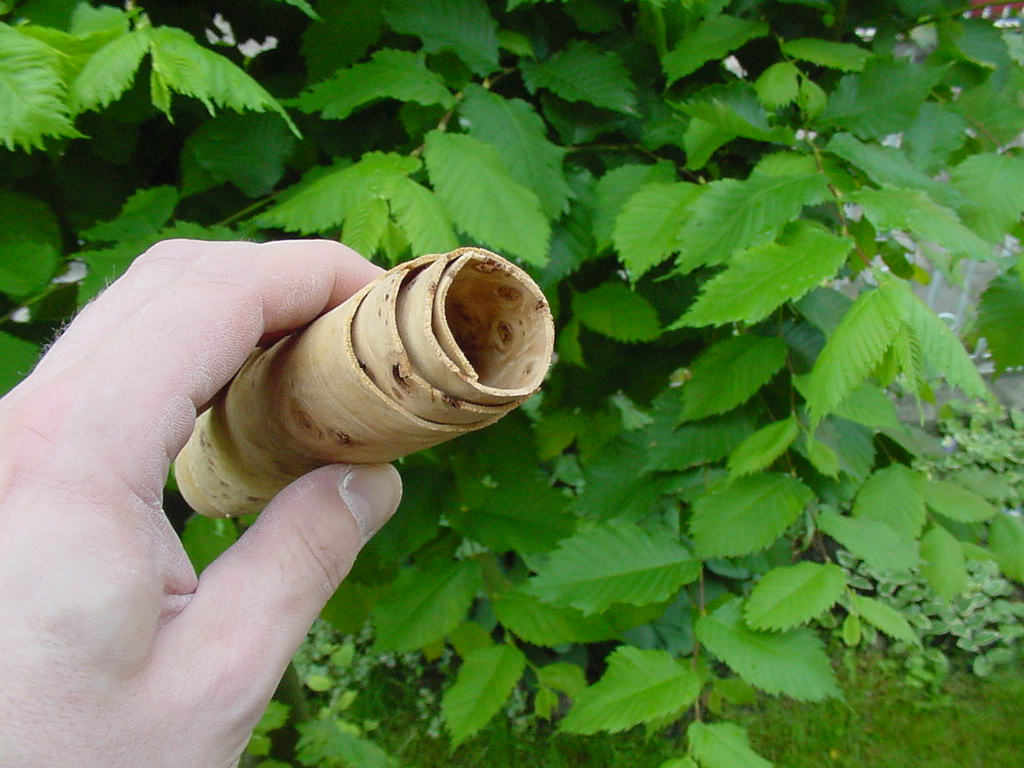 Stylowe meble z czeczotem